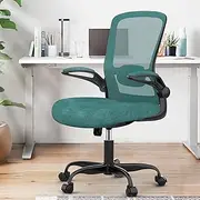 Office Chair, Ergonomic Desk Chair with Adjustable Lumbar Support, High Back Mesh Computer Chair with Flip-up Armrests-BIFMA Passed Task Chairs (Modern, Green)