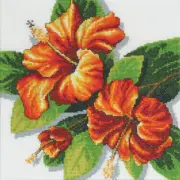 Country Threads Hibiscus Counted Cross Stitch CHART FJP-109, Tracked Postage