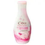 印尼 CITRA PEARLY BODY LOTION 珍珠乳液 120ML/230ML