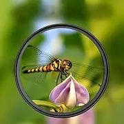 58mm Aperture Close-Up Macro Lens, Optical Glass Camera Filter, Aluminum-Magnesium Alloy Material, +4 Diopter, Thickness 4.09mm