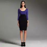 Narciso Rodriguez DesigNation ~EXTRA LARGE~ XL Sheath Dress Colorblock Fitted