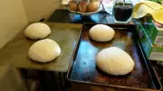 SAN FRANCISCO SOURDOUGH STARTER yeast dry culture sally TOP SELLER