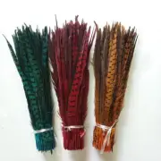 4 Color 20pcs, 14'-16' Ringneck Pheasant Tail Feathers, Long Male Tail Feathers