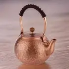 Kongfu Teapot Hot Water Kettle for Stovetop Gas Stove Induction Hob Camping