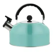 Stainless Steel Whistling Modern Tea Kettle Hot Water Maker Water Cooker