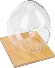 CIMAXIC 1 Set Egg Shaped Glass Terrarium Container for Hydroponic Plants Decorative Succulent Display Bottle with Base for Home Office