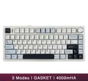 F75 2.4G Wireless/Bluetooth/Wired Gaming Mechanical Keyboard RGB 75% Layout OEM
