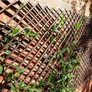 Yard Decorative Willow Expandable Lattice Fence Garden Trellis Plant Support