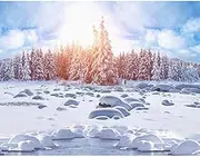 Paint by Numbers Painting by Numbers Paint by Number Oil Snow Scenery DIY On Canvas Coloring Number Hand Painting (No Frame) 40x50cm