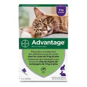 Anti-parasites Advantage Cat Rabbit +4 Kg 4 Units 0,8 Ml