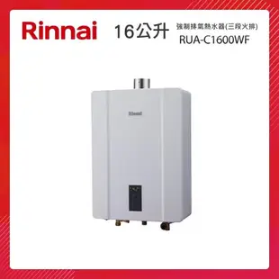 Rinnai 林內 16L 強制排氣熱水器 RUA-C1600WF