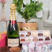 Christmas Tree Celebration Gift Pack