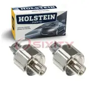 2 pc Holstein Ignition Knock Detonation Sensors for 1998-2000 Lexus GS400 tz