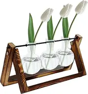 Water Plant Vase | Plants Glass Bulb Terrarium with Wooden Stand | Plant Propagation Station, Plant Terrarium for Hydroponics Plants Home Garden