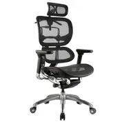 ERGO HIGH BACK Executive Chair BLACK MESH With Headrest