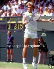 Stefan Edberg Wimbledon Photo #260 8x10