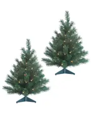 Sterling Tree Company Set Of 2 2Ft. Pre-Lit Colorado Spruce With 50 Ul Clear Lights Each