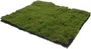 Toddmomy Artificial Turf Moss Lawn Mat Cuttable Fake Grass for DIY Landscape Decor Realistic Simulation Technology for and Festival Decoration