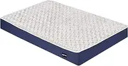 Amazon Basics Foam Pet Bed for Cats or Dogs - Medium, Blue and Gray