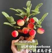 Natural Jade Stone Peach Fruit Bonsai Statue Tree Plant Feng Shui Home Decor