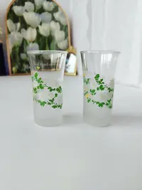 在飛比找Yahoo!奇摩拍賣優惠-日本中古vintage aderia石塚硝子玻璃杯 花卉玻璃