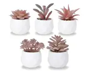 Set Of 5 Artificial Succulent Plants, Mini Assorted Fake Succulents Ceramic Pink