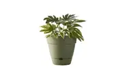 Northcote Pottery Leonard 38x34cm Self Watering Plant Pot Garden Decor Green