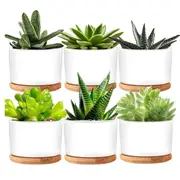 SpringUp 6Pcs Ceramic Flower Pot Succulent Pot with Drainage and Tray Tabletop Indoor Planter Home Garden Decoration Gift
