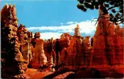 Postcard Chrome Queen Victoria Bryce Canyon National Park Utah UT
