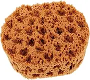 Kisangel Art Sponge Painting Tool Reusable Blending Sponge for Intricate Designs for DIY Decoration Crafts Professional Art Projects