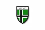 PATCH PATCHES EMBLEM IRON ON GLUE PRINT FLAG world crest vinland viking odin