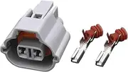 Xiaojiang Store 2 Pin Automotive Wiring Harness Connector Plug Connector with Terminal DJ7027A-2.2-21 (Size : 10 Sets)
