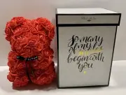 Valentine’s Red Rose Bear W/ Box - Tresores De Charme Bear - Anniversary Love