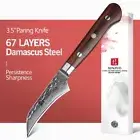 Full Tang Paring Knife 67 Layers Damascus Steel Wood Handle Hammered Cut Peeling