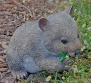 ~❤️~WOMBAT Eating Leaves Statue Resin Figurine 29cms Australian Native❤️~