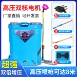 新式高壓雙泵電動噴霧器加厚背負式農用打藥機消毒防疫小型噴霧壺