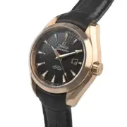 Omega Seamaster Co-Axial Aqua Terra 231.53.34.20.01.002 woman