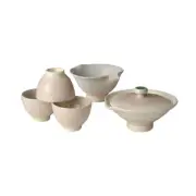 Japanese teapot set - RYOFU - 1 pot 2 cooling bowl 3 cups w box Shigaraki ware