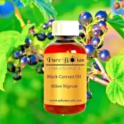 Black Currant Seed Oil - Organic - Cold Pressed - 4oz