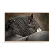 Artey | Looking Back - Framed Canvas - Natural Frame - 60 x 90cm