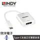 LINDY林帝 TYPE-C to DP 主動式 USB3.1 C公 To DP母 帶PD功能 43289 43245