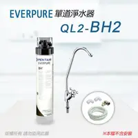 在飛比找森森購物網優惠-【Everpure】美國原廠 QL2-BH2單道淨水器(自助