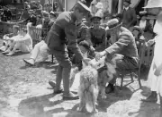 Dr Wg Grace Giving A Subscription To The Red Cross Fund 1915 Old Cricket Photo