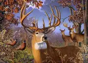 Puzzle Deer and Pheasant 500 pc