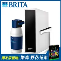 在飛比找PChome24h購物優惠-德國BRITA》mypure P1櫥下瞬熱雙溫淨水組(內含1