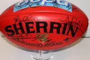HAWTHORN PREMIERS 2013 TEAM SIGNED SHERRIN FOOTBALL UNFRAMED (SPONSOR : BUPA)
