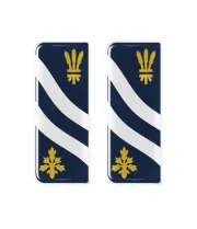 2x Oxfordshire County Flag - Gel Domed Number Plate Badges/Decals 107x42mm