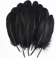 120Pcs Ballinger Black Craft Feathers Bulk 6 8 Inch Real Goose Feathers