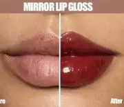 San Two Fashion Lip Gloss BRICK RED Give Your Lips A Luscious Supple Look