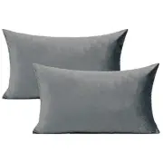 Gray Rectangle Velvet Soft Solid Throw Pillow Cases 12" x 20" (Pack of 2) Grey